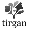 Our Friends Tirgan